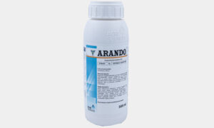 ARANDO