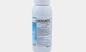 DERIVATE