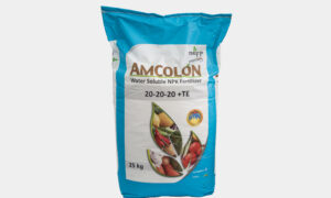 AMCOLON 20-20-20+TE