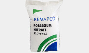 КЕМАРСО — Калий нитрат