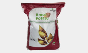 AMCO POTATO (АМСО КАРТОШКА)