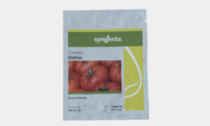 Dafnis F1