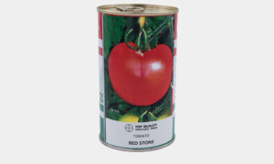 Red Stone