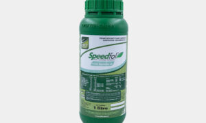 Speedfol Amino Vegetative 5C