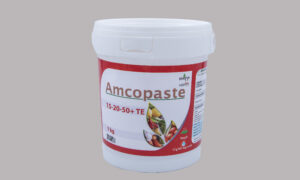 Amcopaste 15-20-50+TE