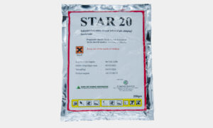 STAR 20