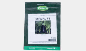 Mirval F1