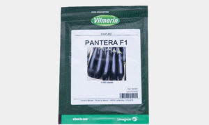 Pantera F1