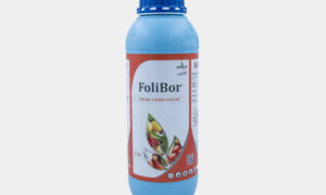 FoliBor