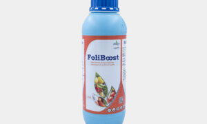 FoliBoost