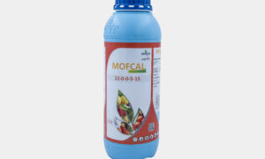MOFCAL 12-0-0-5-15