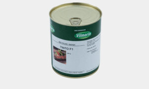 Tinto F1