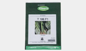 T 186 F1