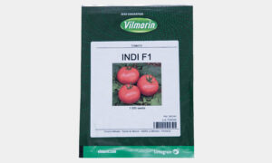 Indi F1