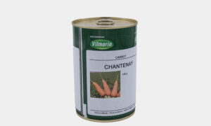 Chantenay