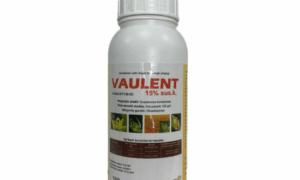 Vaulent