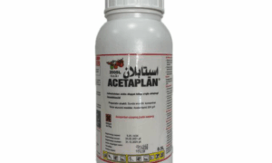 Acetaplan