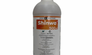 Shinwa