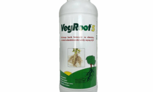 VegRoot5