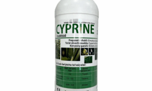 Cyprine