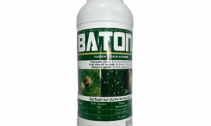 Baton