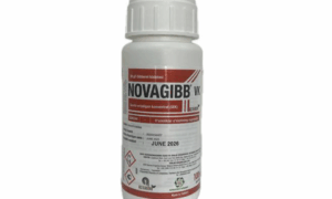 Novagibb VK