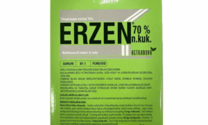 Erzen