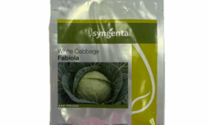 Fabiola