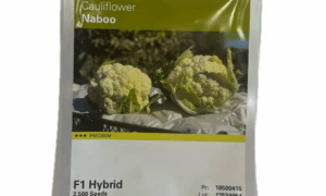 F1 Hybrid