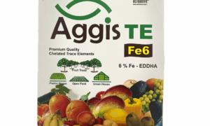 Aggis TE
